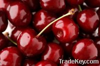 Sell Fresh Cherries