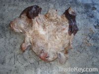 Sell Wet Salted Cow Head Skin