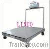 Manual Moveable Floor Scale
