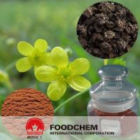 Herb Medicine Cat's Claw Powder Extract Alkaloids