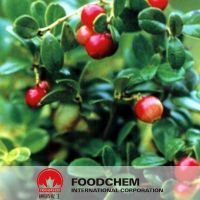 Cosmetic Materials Bearberry Extract Arbutin