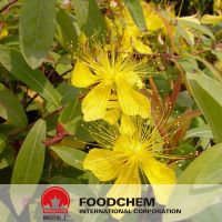 Hypericum Perforatum Extract Hypericin