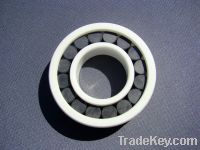 Sell Ceramic full cylindrical roller bearings