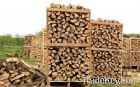 Sell FIRE WOOD MADE OF HARD WOOD