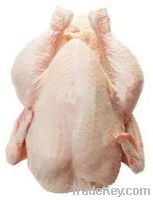 WHOLE CHICKEN BROILER