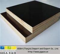 GIGA marine plywood/film faced plywood