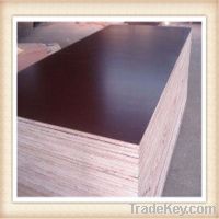GIGA laminated board/coated plywood sheet