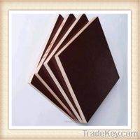 Sell Timber plywood/ construction material/concrete plywood