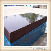 construction Plywood/ Black Film Faced Plywood