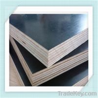 GIGA laminated board/18mm waterproof plywood board