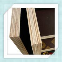 GIGA film faced plywood price/ melamine coated plywood