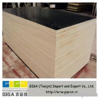 Sell 18mm WBP poplar wood plywood