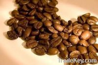 Export Coffee Beans | Arabica Coffee Beans Suppliers | Robusta Coffee Beans Exporters | Coffee Bean Traders | Wholesale Coffee Beans | Buy Coffee Beans | Bulk Coffee Bean | Green Coffee Bean Buyer | Low Price Roasted Coffee Bean | Import Coffee Bean | Cof