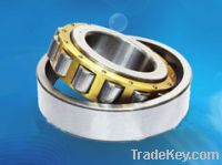Sell Cylindrical roller bearing NU