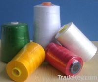 Sell Sell Polyester spun yarn for sewing thread