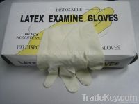 Latex Examination Gloves-powdered