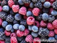 Sell Frozen Berries
