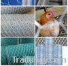 Sell Chicken wire, rabbit mesh, galvanized/PVC coated, for breeding poultry