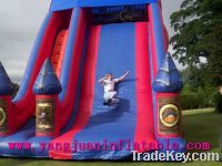 Sell  Giant Inflatable Slide Exciting