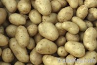 Sell potatoes