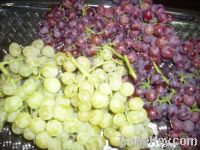 Sell Grapes