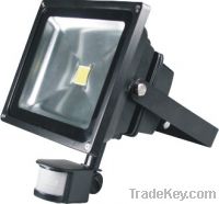 Sell LED flood lamp 30w