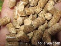 Wood pellets