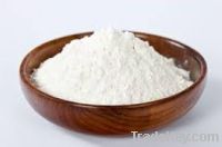 TAPIOCA STARCH - INDUSTRIAL