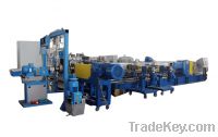 Sell High Torque Twin Screw Compounding Extruder (HTE-95)