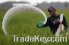 We sell NPK, UREA & OTHER FERTILIZERS