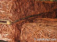 Copper Wire Scraps Suppliers | Copper Scrap Exporters | Copper Scrap Manufacturers | Cheap Copper Scrap | Wholesale Copper Scraps | Discounted Copper Scrap | Bulk Copper Scraps | Copper Scrap Buyer | Import Copper Scrap | Copper Scrap Importers | Copper S