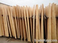 Sell Eucalyptus core veneer