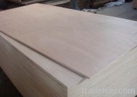 Sell Packing plywood 21mm thickness