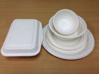 Biodegradable food container