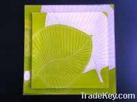 Sell Tempered glass plate with decal