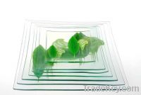 Sell Square Glass Plate