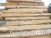 Construction top grade Lumber