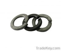 Sell DIN127 Spring Washers
