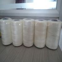 PP Fishing Twine from China