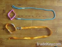 leash and leash webbing