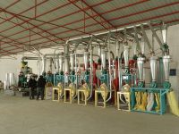 wheat flour processing machinery, wheat mill