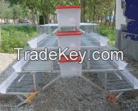 selling chicken cage-china
