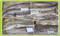 Sell Frozen conger eel