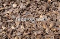 PALM KERNEL SHELLS