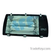 Sell Induction Tunnel Light