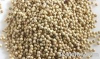 Sell of supplying Black or White Pepper and Pepper Powder
