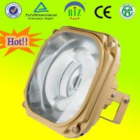 Sell Magnetic Induction Flood Light