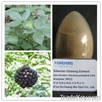 Sell Siberian Ginseng Extract