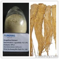 Sell Angelica Extract