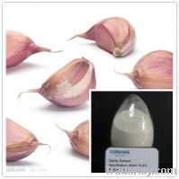 Sell Garlic Extract